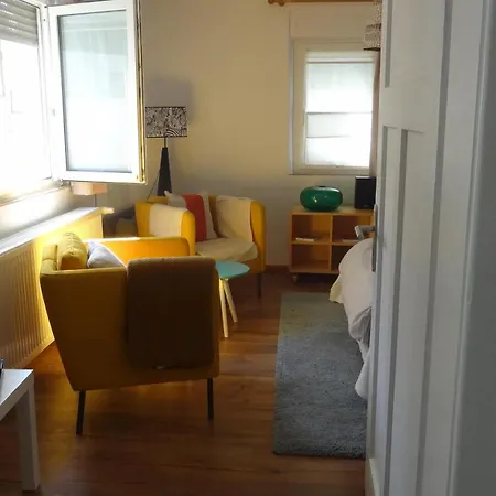 Nr. 16 *