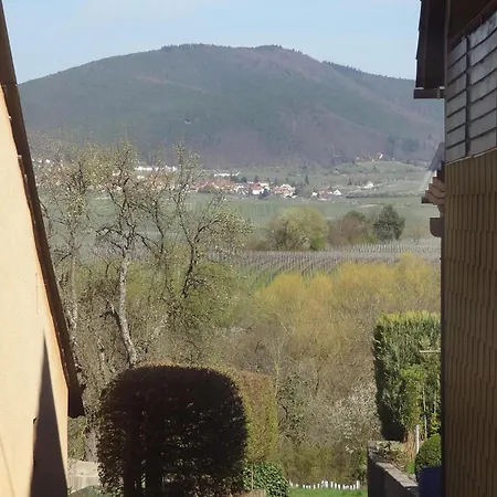 Nr. 16